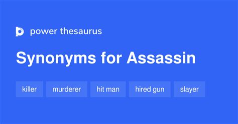 assassin synonym|assassin mean.